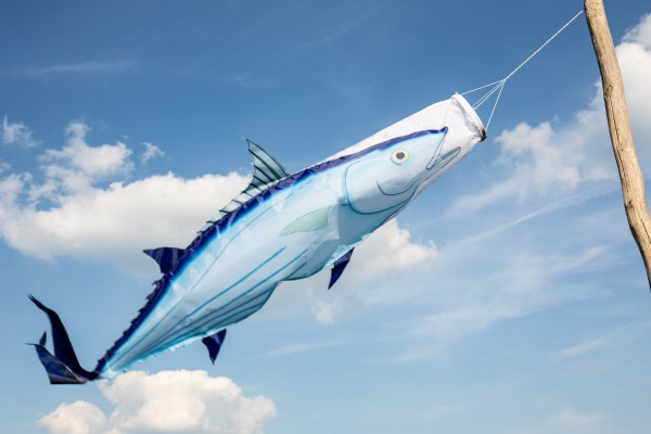 Blauer Windsack Fisch
